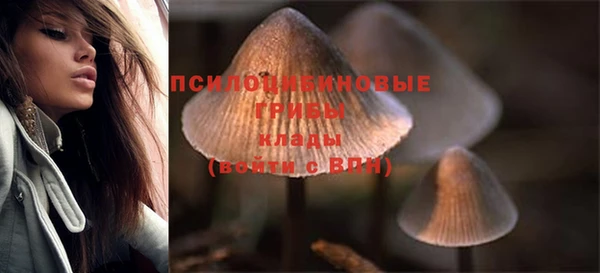 СК Абдулино