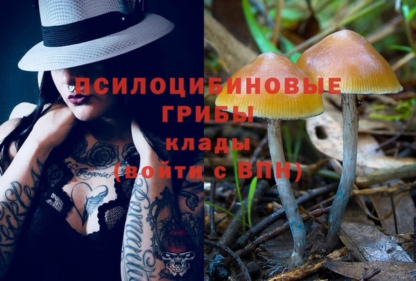 бошки Абинск