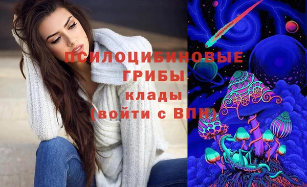 a pvp Абаза