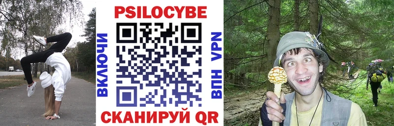 Псилоцибиновые грибы GOLDEN TEACHER  купить   Тюкалинск 