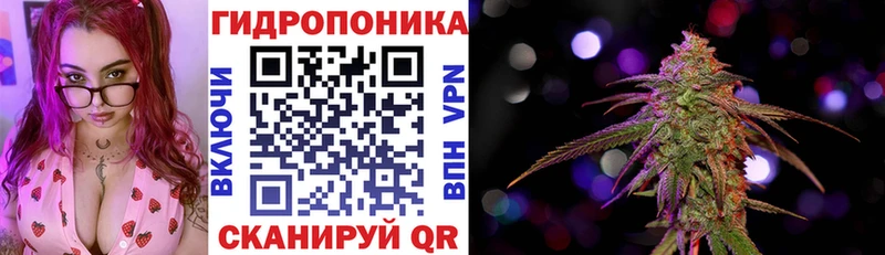 где купить   Тюкалинск  Марихуана OG Kush 